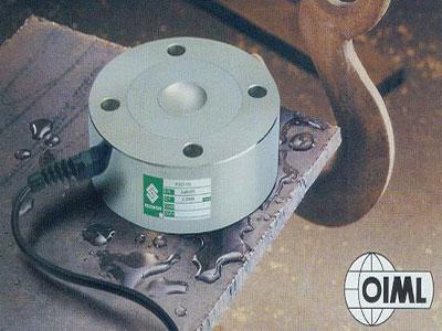 美國Celtron稱重傳感器LCD